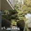  Annonces CRAPONNE : Apartment | LYON (69008) | 60 m2 | 280 820 € 